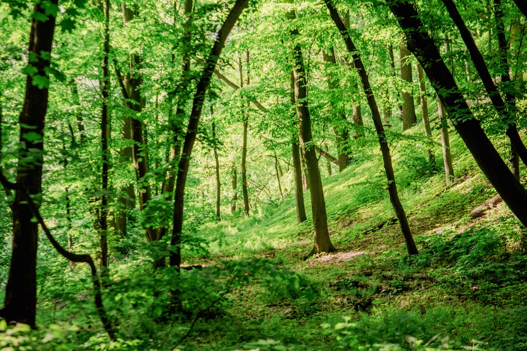 Аудитор в защитном снаряжении инспектирует промышленный объект на предмет экологического соответствия